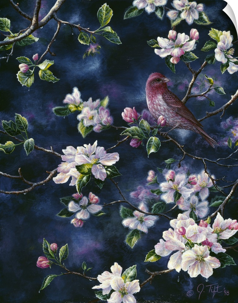 a red bird perched among branches of a tree with pink, floral blossoms