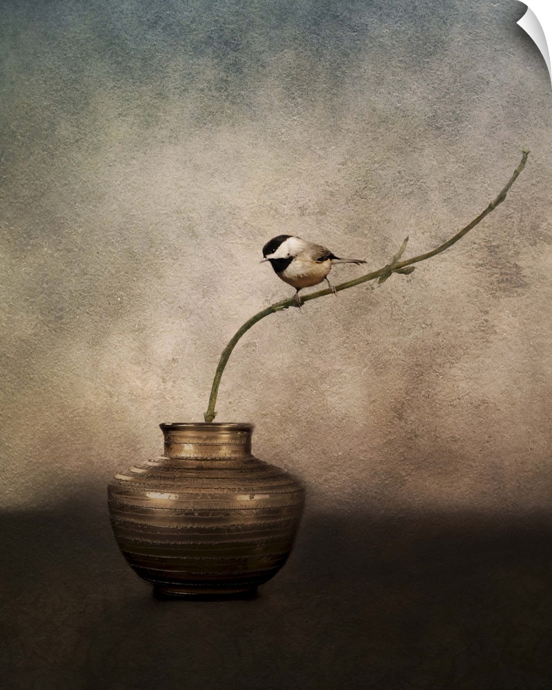 A Black-capped Chickadee perched on a twig in a vase.