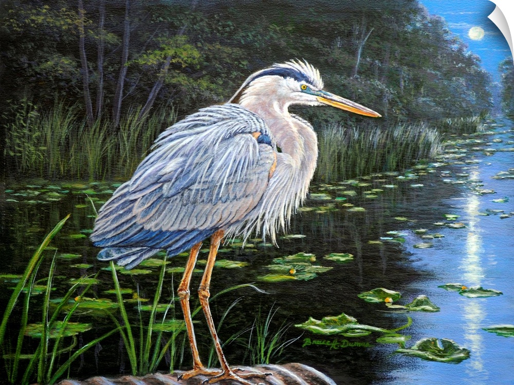 Painting of a Great Blue Heron standing on the edge of a pond with moonlight reflecting off the water.