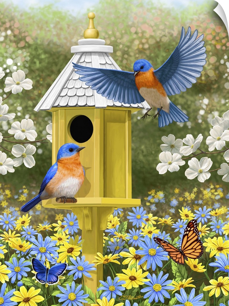 Bluebirds at a yellow birdhouse.