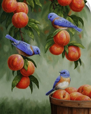 Bluebirds and Peaches