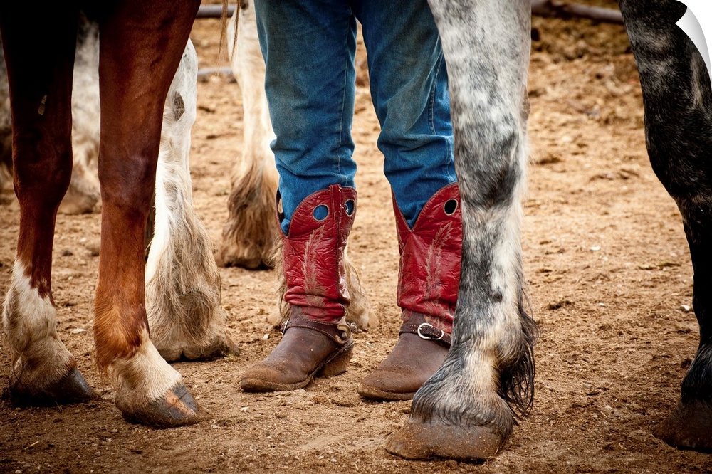 Photograph of red cowboy boots and horse hooves.