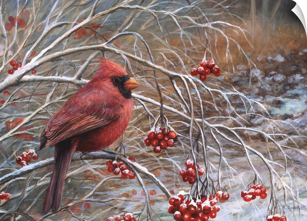 Contemporary artwork of a cardinal sitting on a branch with red berries.