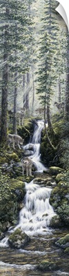 Cascade Wolves