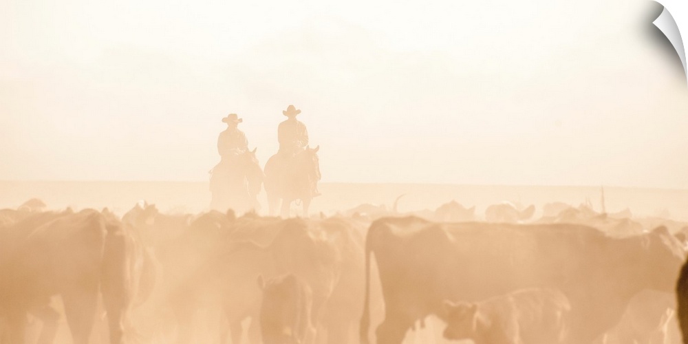 Blown out photograph with sepia silhouettes of two people on horseback behind a dusty herd of cattle.