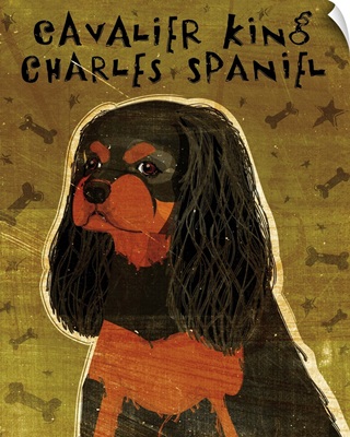 Cavalier King Charles (black and tan)