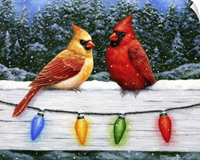 Christmas Cardinals Greeting Card