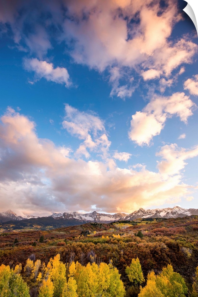 Landscape photograph of Autumn trees leading back to snow covered mountain tops in the distance with fluffy clouds above.