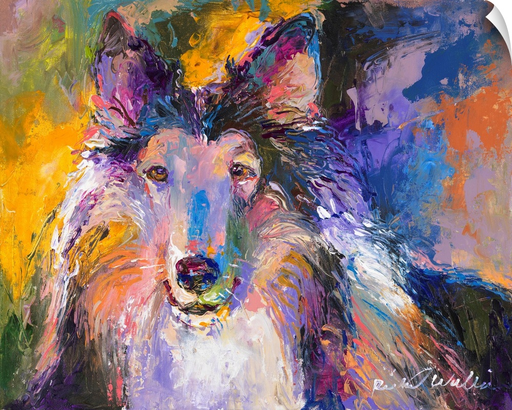 Colorful abstract portrait of a Collie.