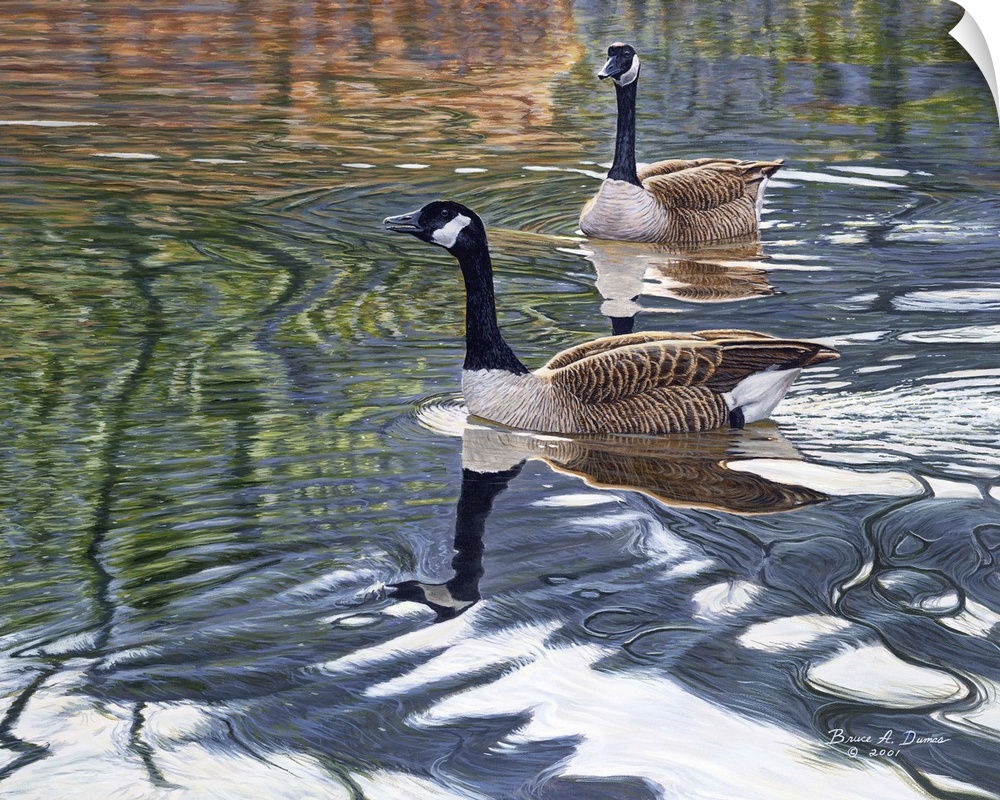 Contemporary artwork of two geese swimming in a pond.