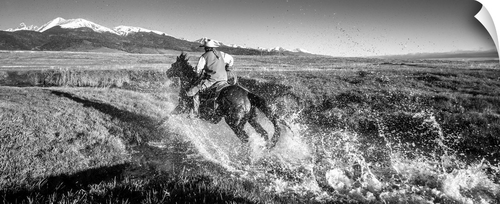 Black and white action photograph of a cowgirl riding her horse through a stream.