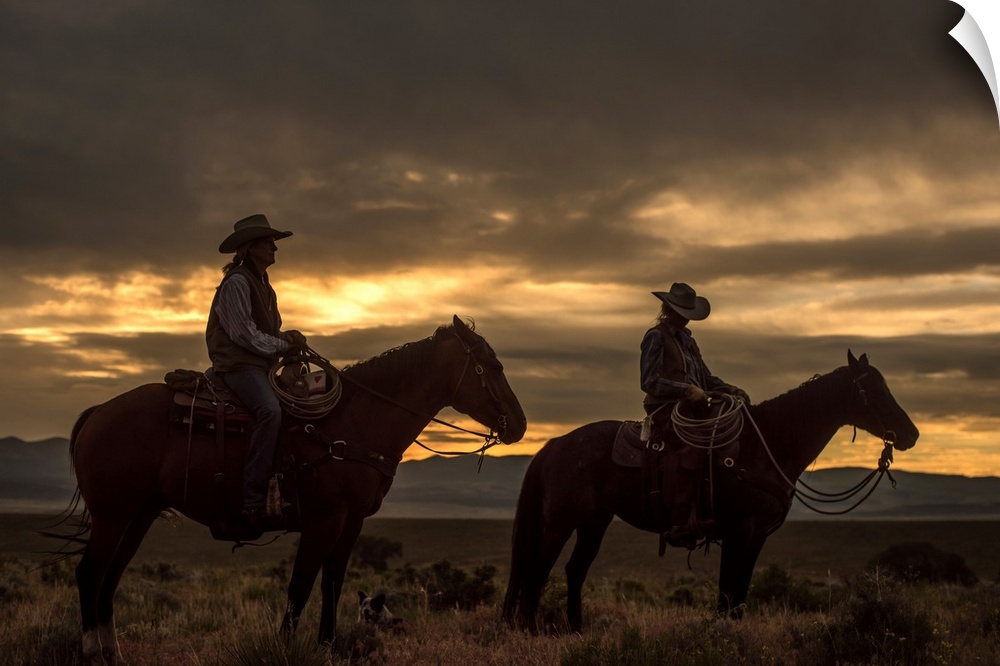 Low-key photograph of two women on horseback with a dog lying on the ground at dusk.