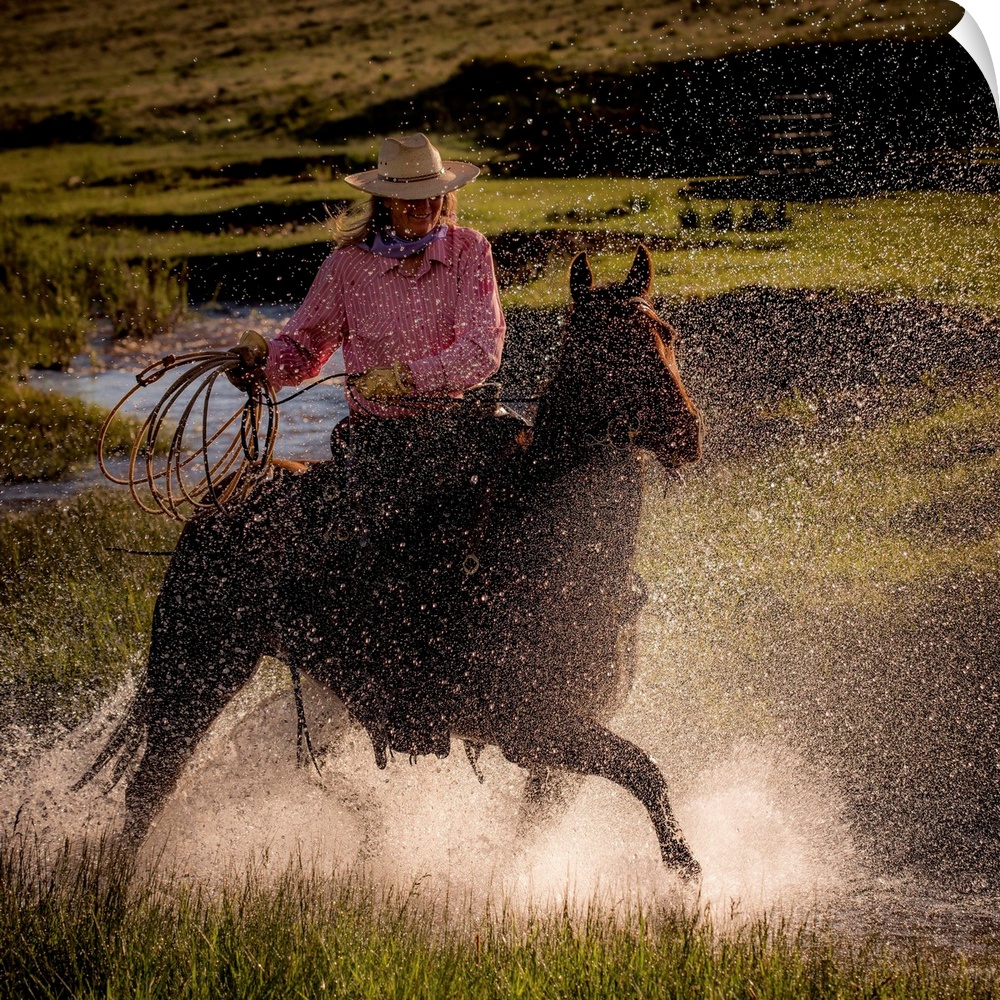 Square photograph of a cowgirl riding her horse through a stream with her lasso out.