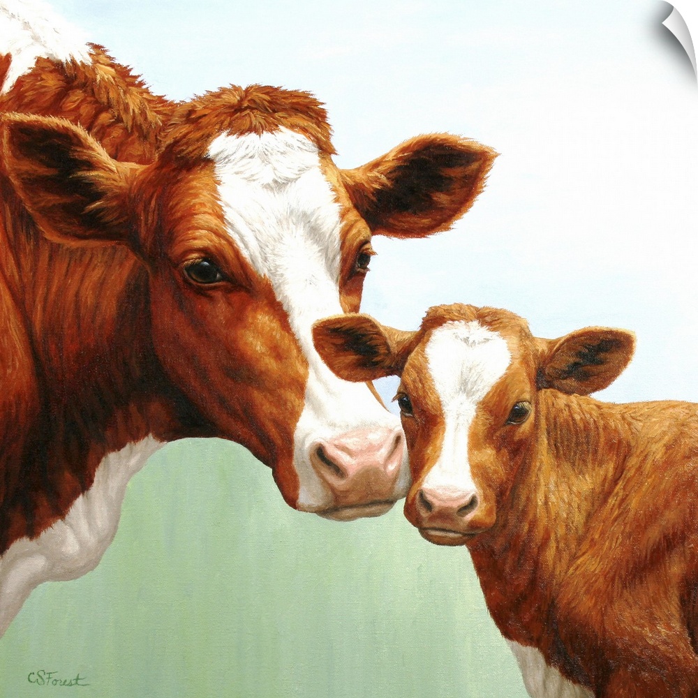 A brown and white dairy cow and her calf.