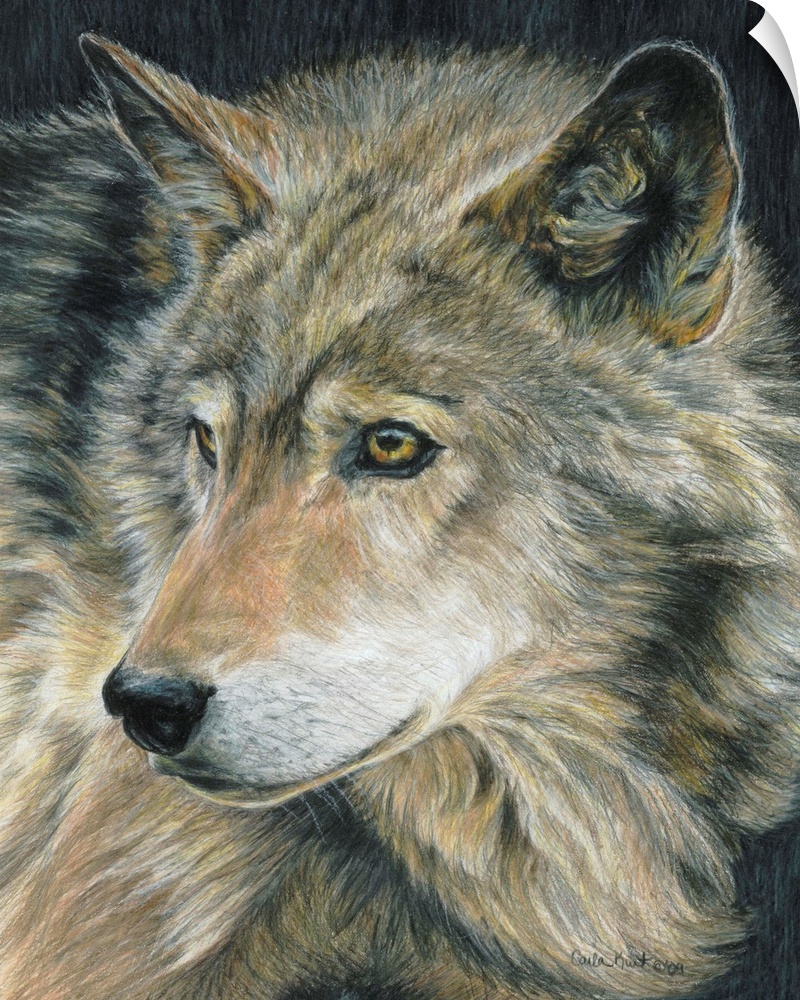 Contemporary artwork of a wolf close-up on its face.