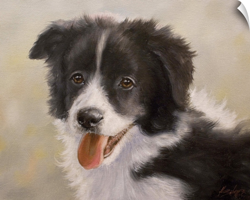 Contemporary painting of a border collie puppy.