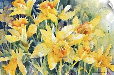 Daffodil Party