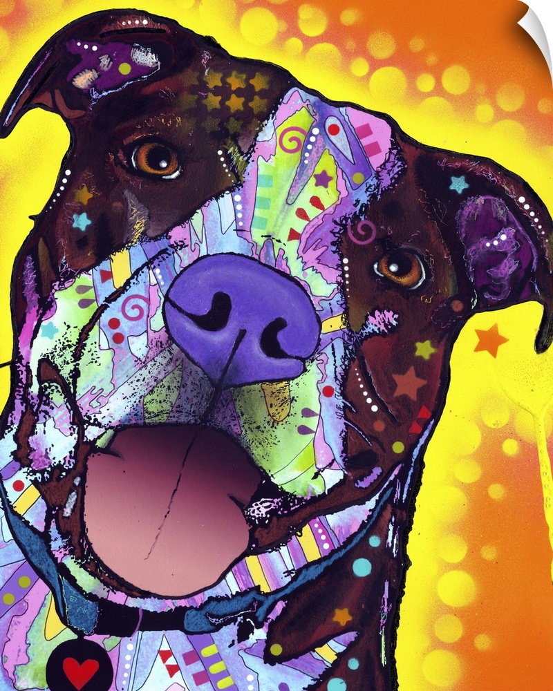 Pit bull, dog, many colors