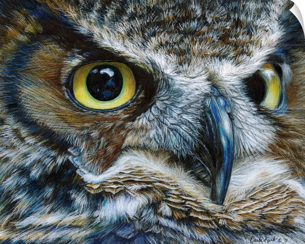 Contemporary artwork of a close-up look of an owl face.