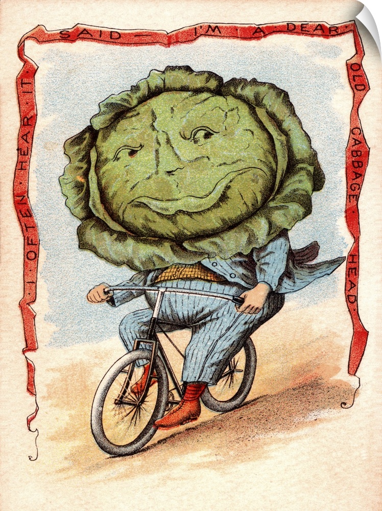 Dear Old Cabbage Head - Vintage Illustration