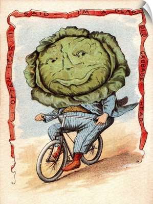 Dear Old Cabbage Head - Vintage Illustration