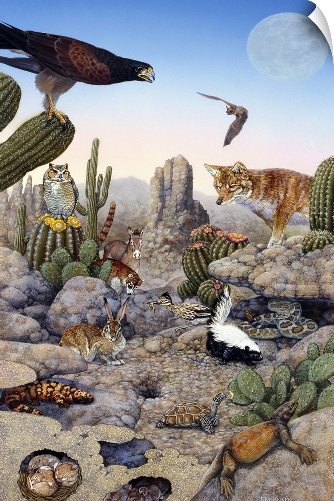 Desert scene with falcon and cactus, a fox and other desert animals