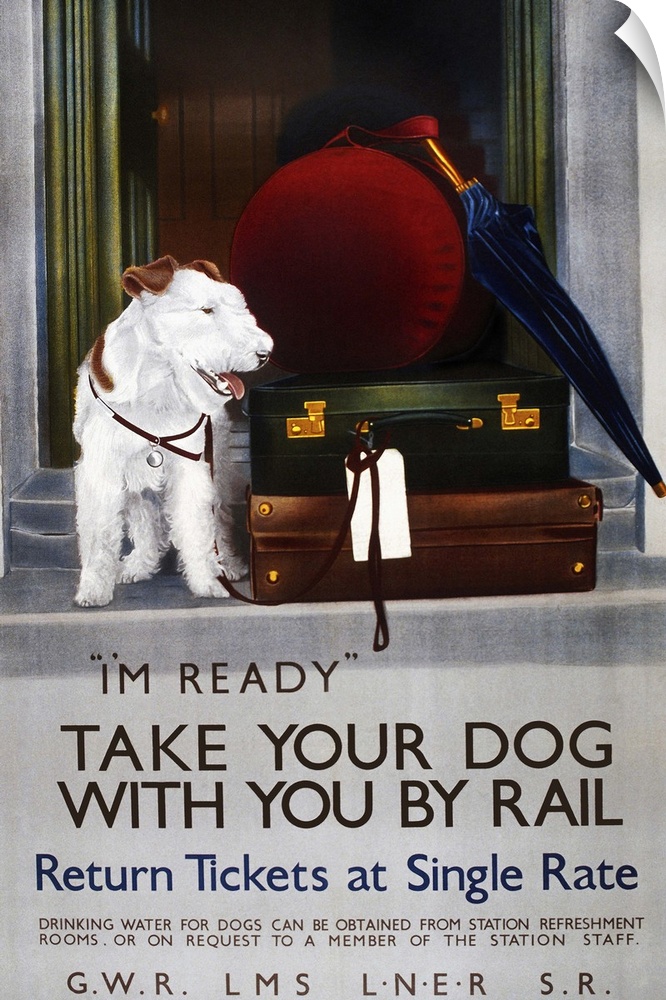 Vintage poster advertisement for Dog Rail.