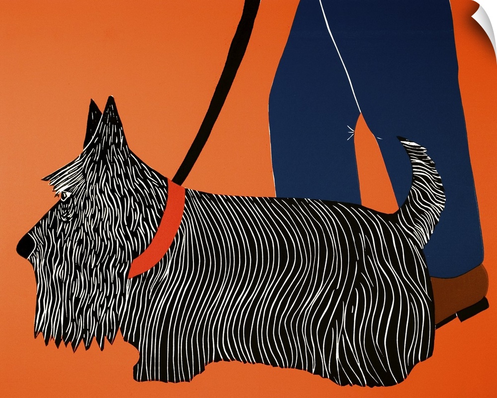 Illustration of a Scottish terrier heeling next to its owner while on a walk.