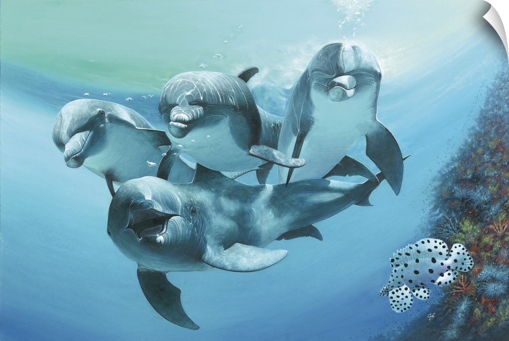 Contemporary painting of a group of dolphins swimming.