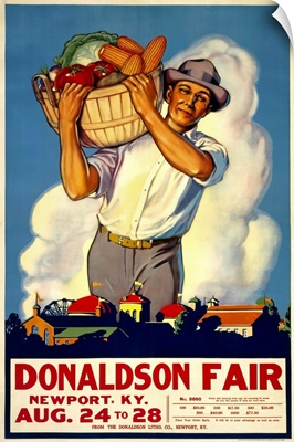 Donaldson State Fair Poster