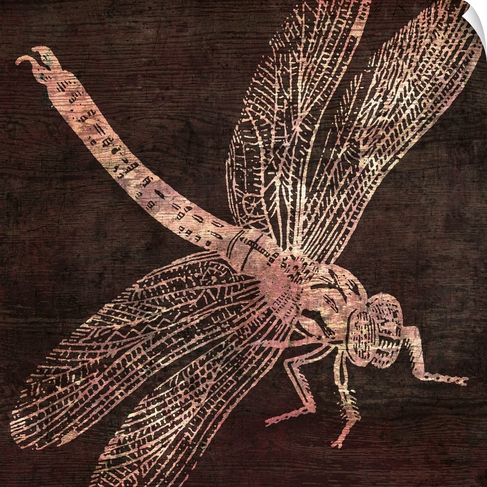 etching of dragonfly