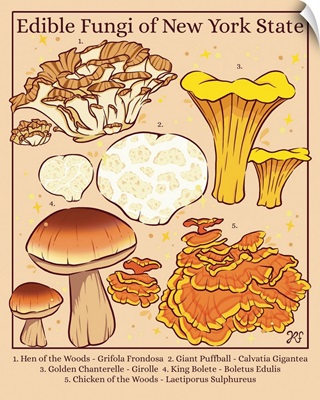 Edible Fungi Of New York State