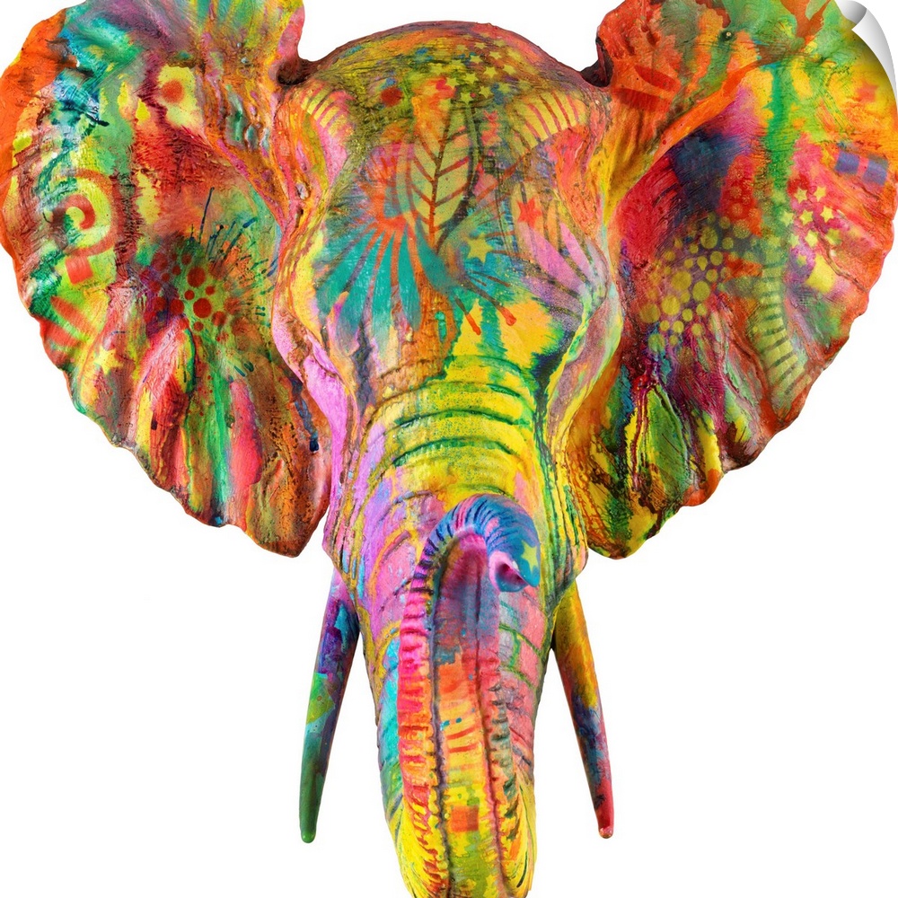 Colorful painting of an elephant's head and tusk covered in abstract designs on a sold white background.