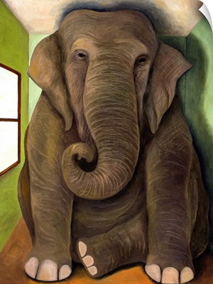Elephant In A Room