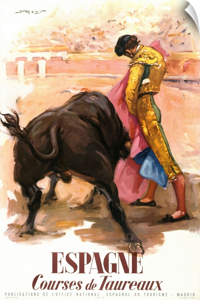 A matador and a bull.
