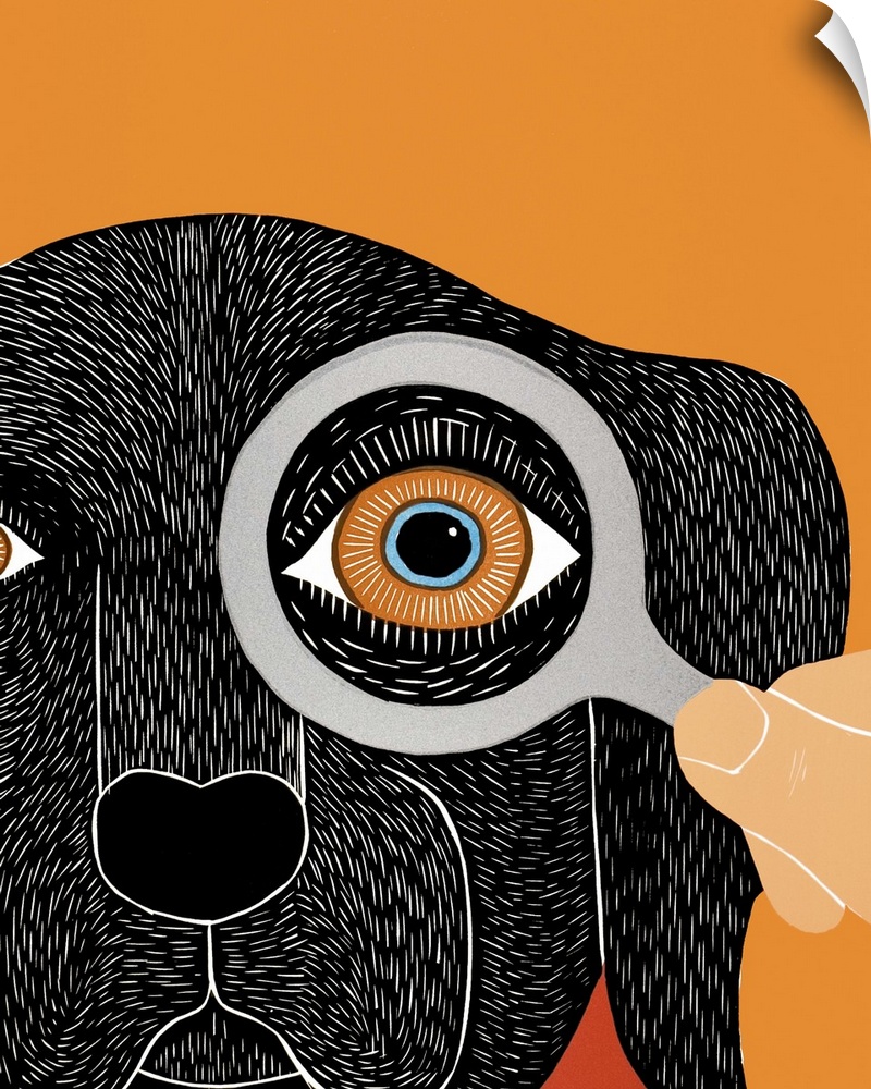 Illustration of a black lab receiving an eye exam at the vet.
