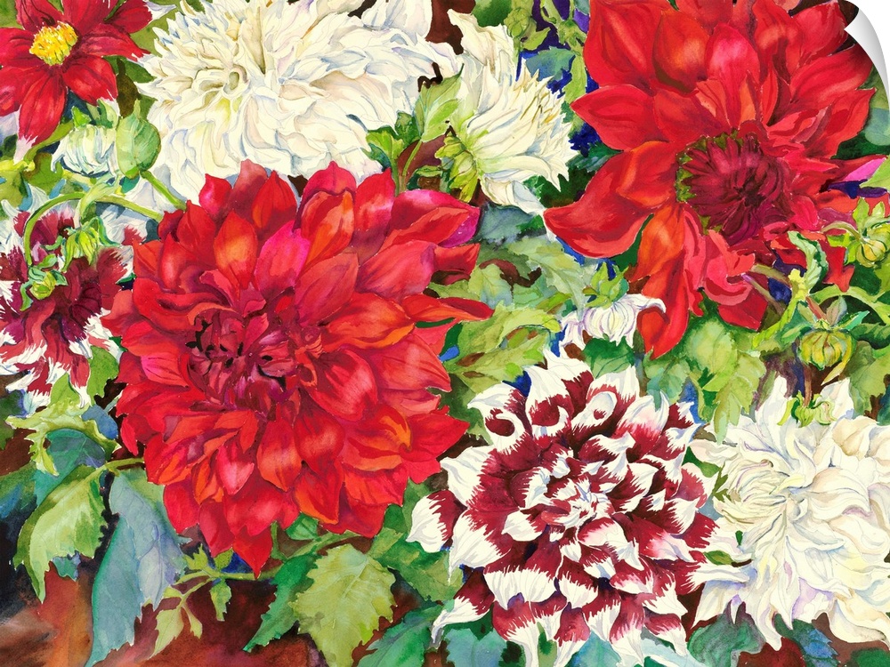 Colorful contemporary painting of red and white dahlias.