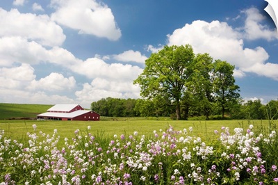 Flowers and Farm, Holmes County, Ohio