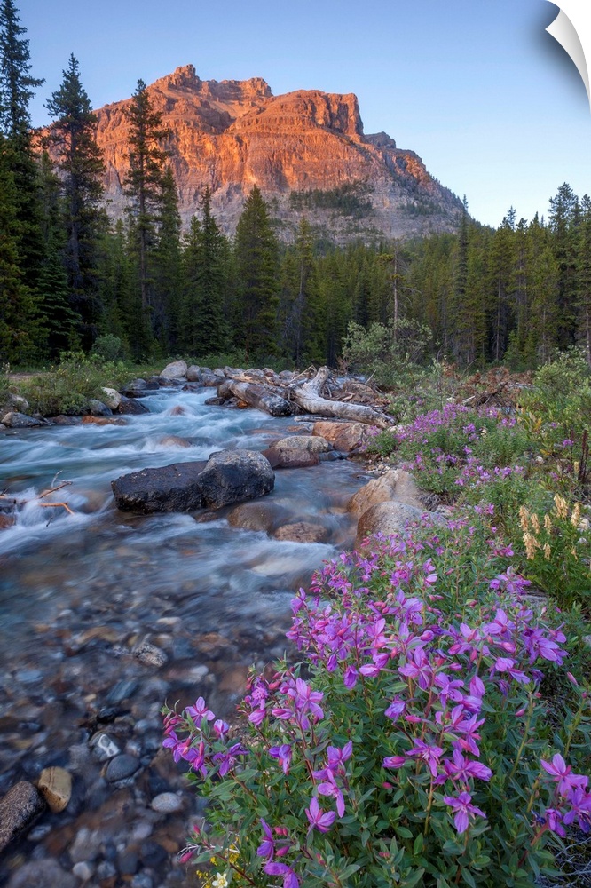 Landscape photograph of a flowing river with wildflowers lining it and mountains in the distance.