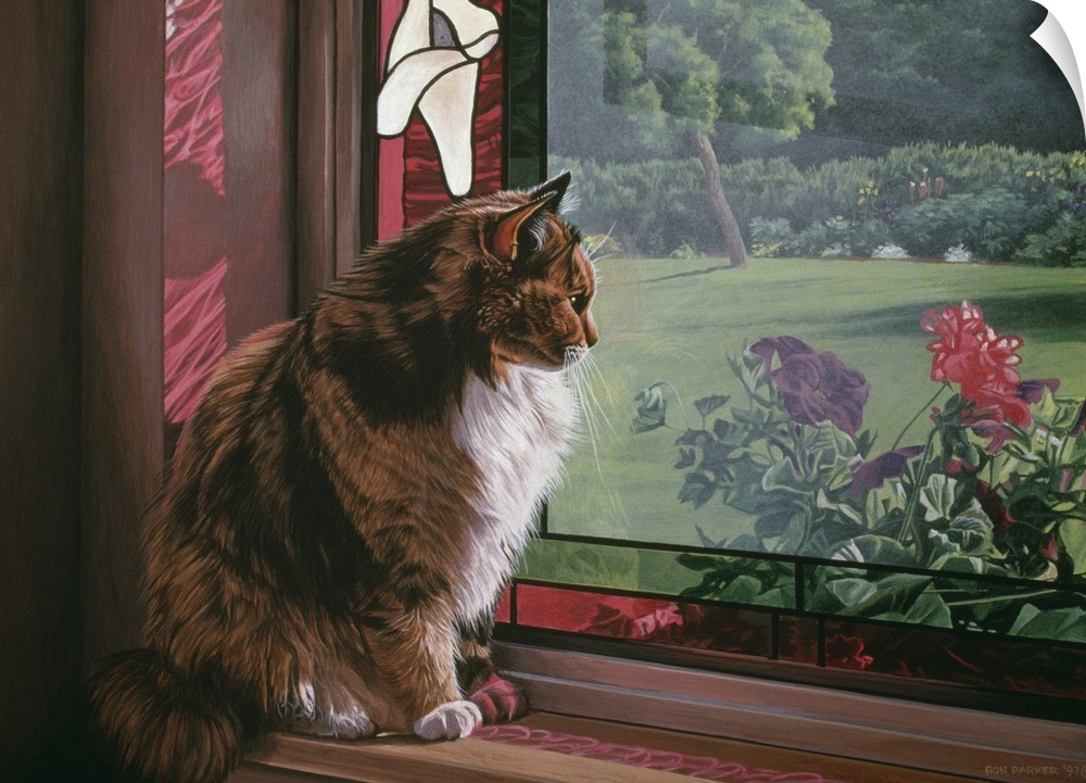 A cat sitting on a window sill looking out over the garden.