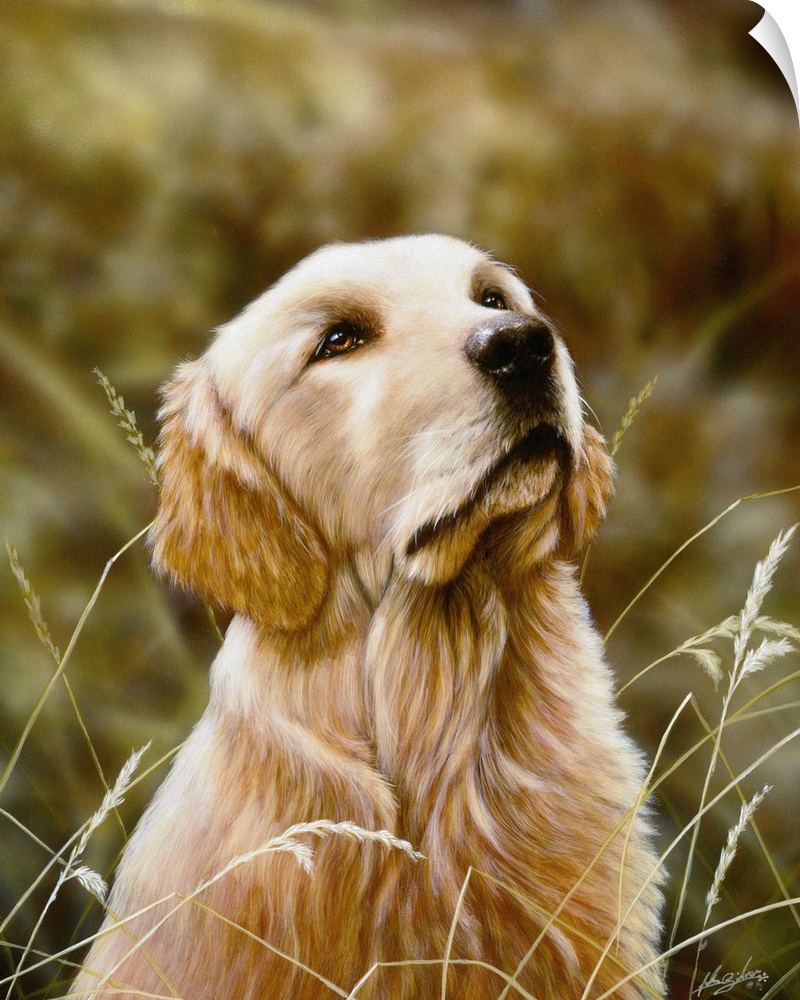 Contemporary painting of a golden retriever sitting and looking up at something.