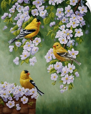 Goldfinch Blossoms