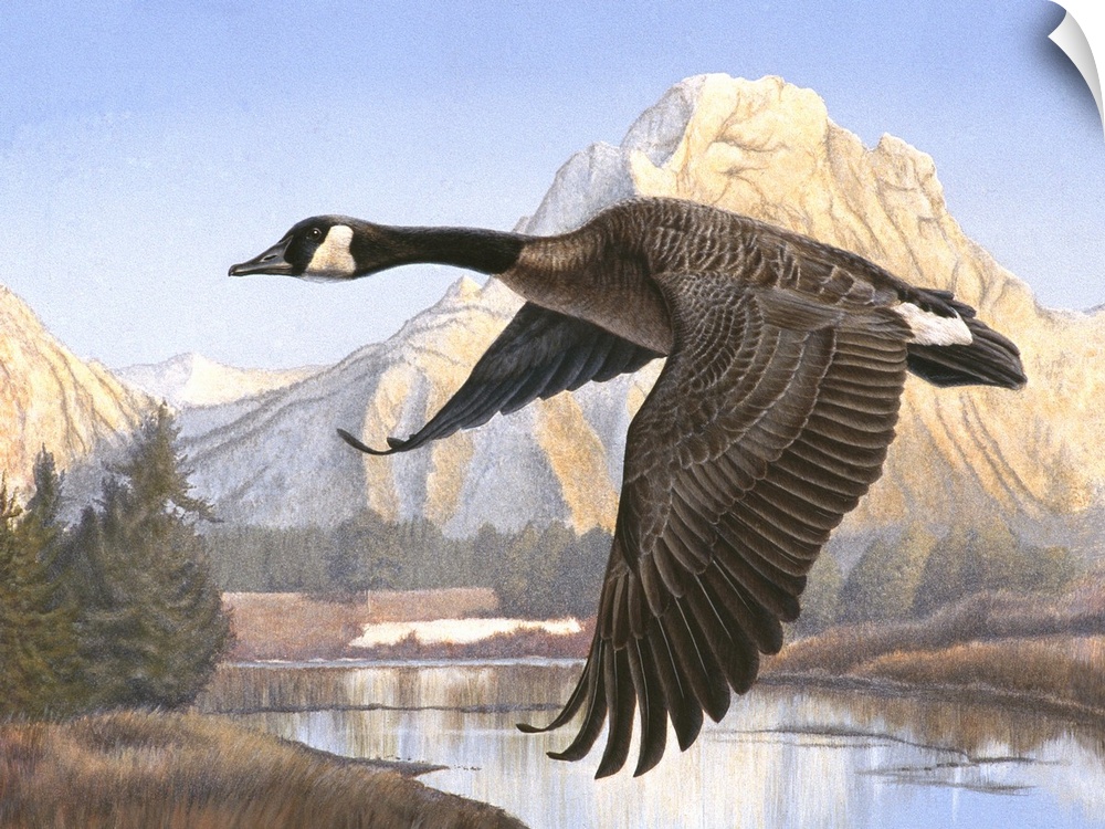 A goose flying over a body of water with a mountain in the background.