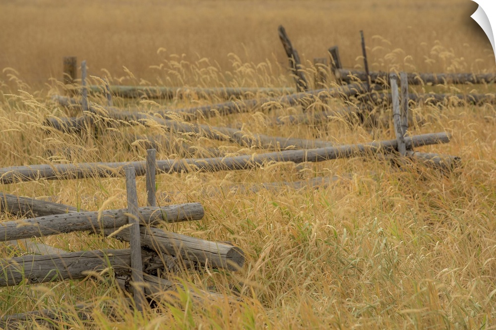 A photograph of a fence sitting in a grassy landscape.