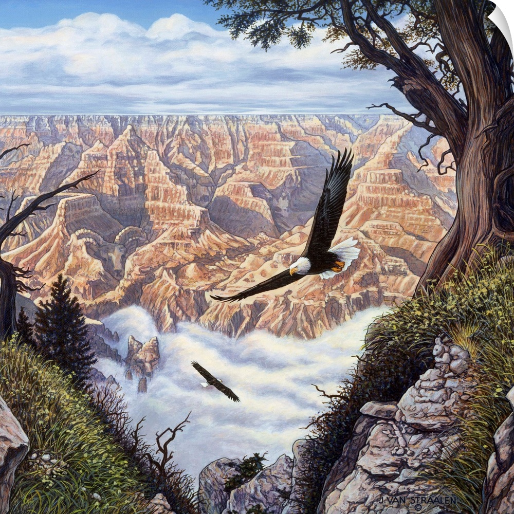 Eagles flying over a canyon.