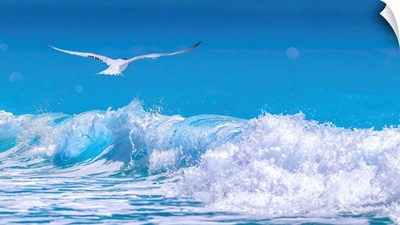 Gull In The Waves