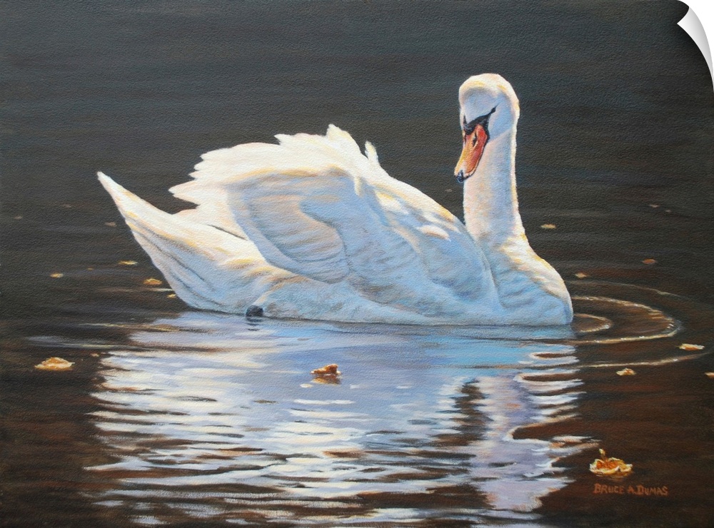 Contemporary artwork of a swan and its reflection.
