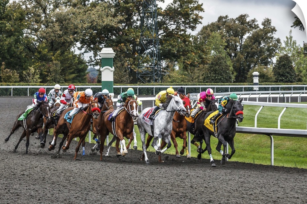Photograph of a a horse race at full speed rounding a curve.