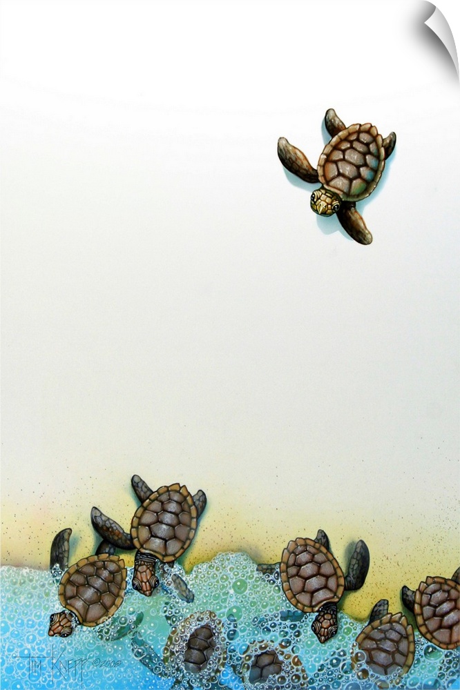 Baby sea turtles entering the ocean