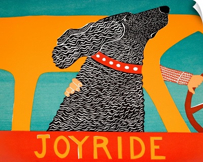 Joyride Black